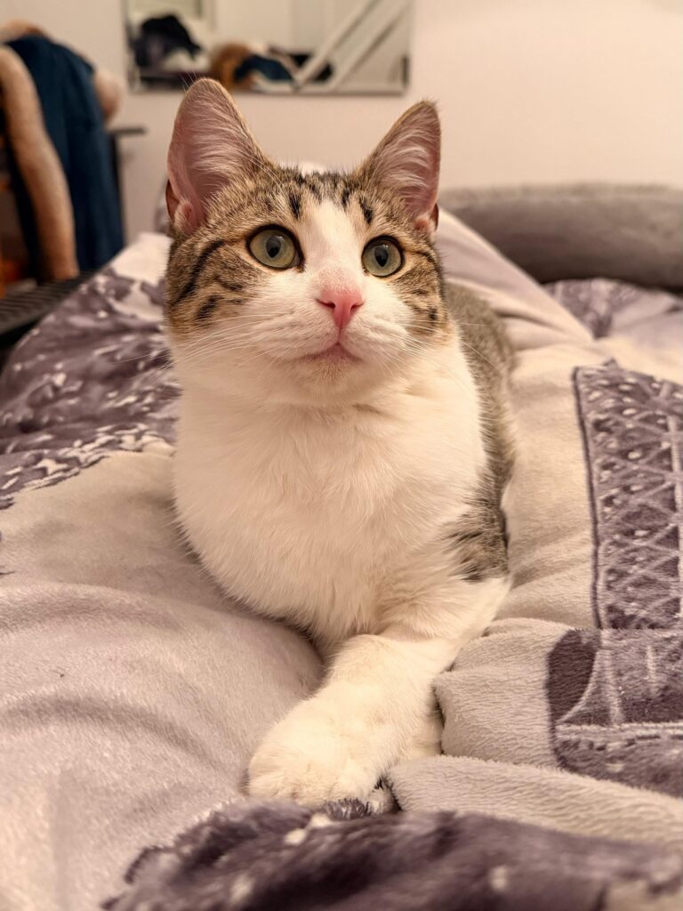 EIRA