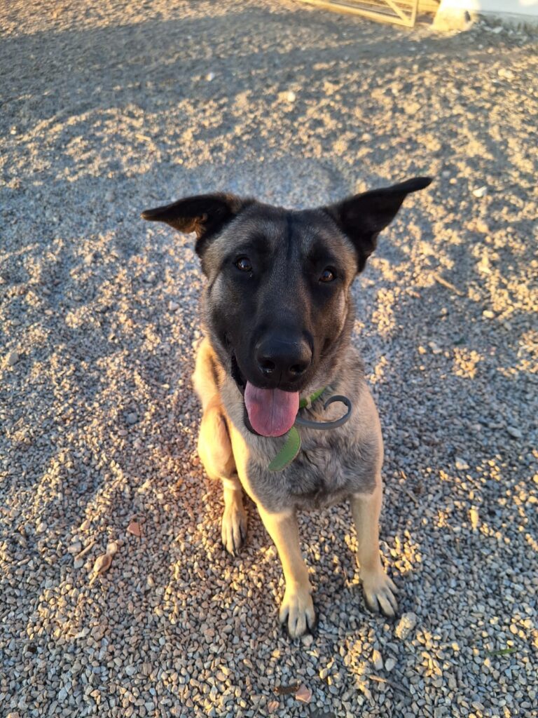 RANGER